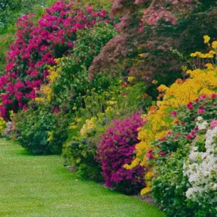 bunte sträucher sichtschutz