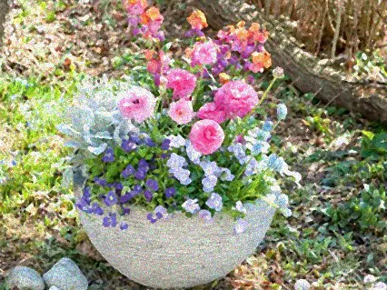 frühlingsblumen im topf für draußen