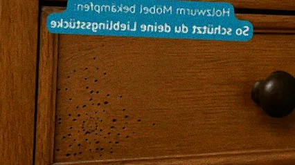 holzwurm in möbeln beseitigen