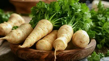 pastinaken für lange wurzeln