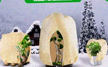 pflanzen winterschutz lidl